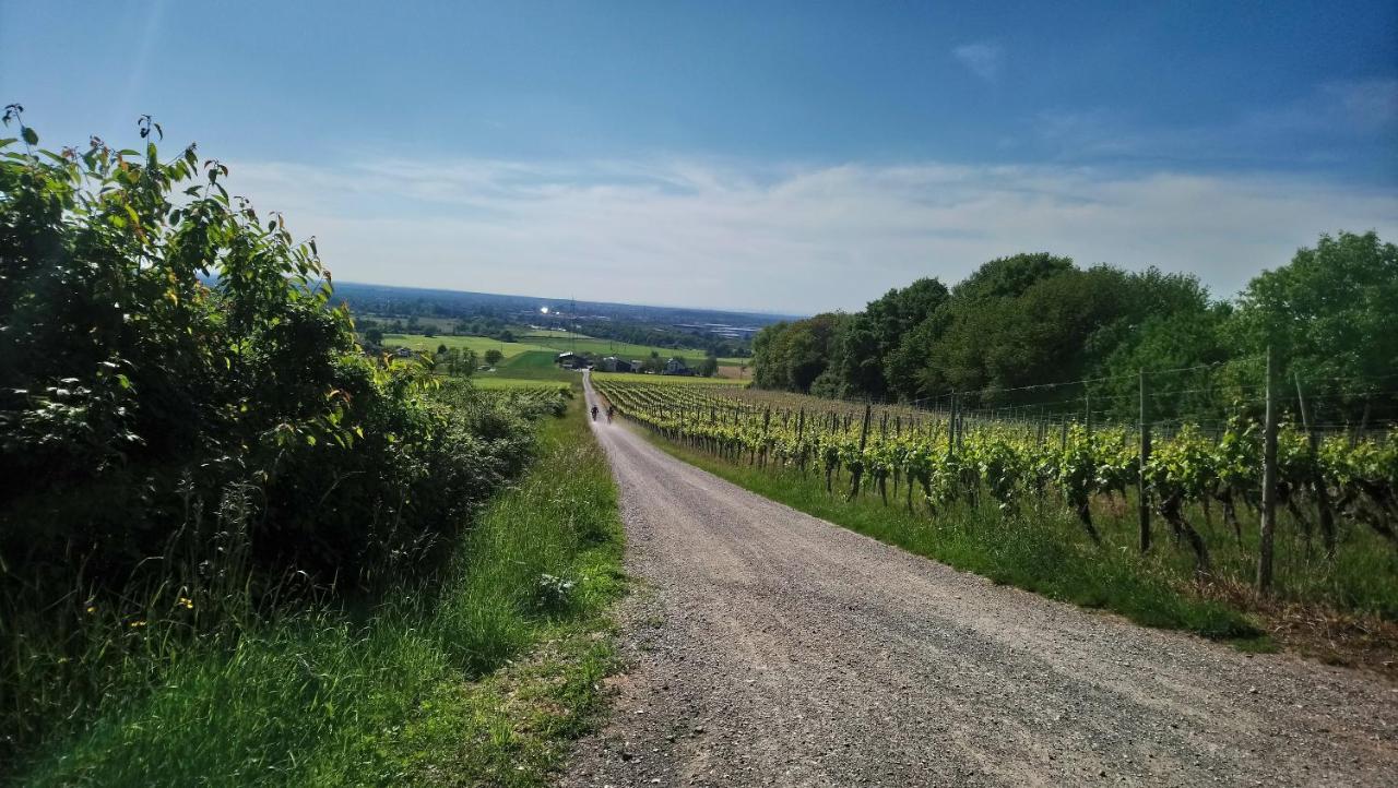 Kaefernberg - Weinhotel Alzenau in Unterfranken Esterno foto