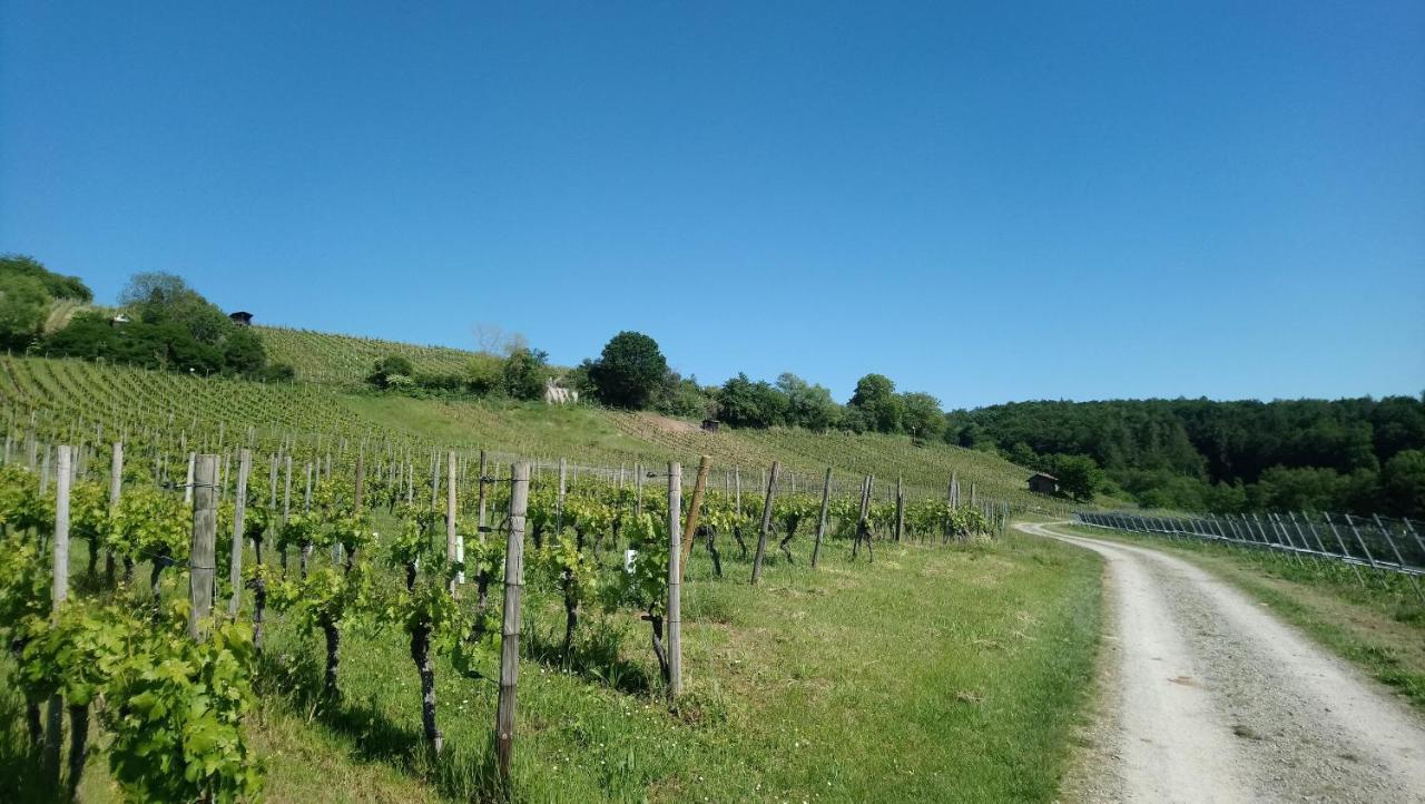 Kaefernberg - Weinhotel Alzenau in Unterfranken Esterno foto