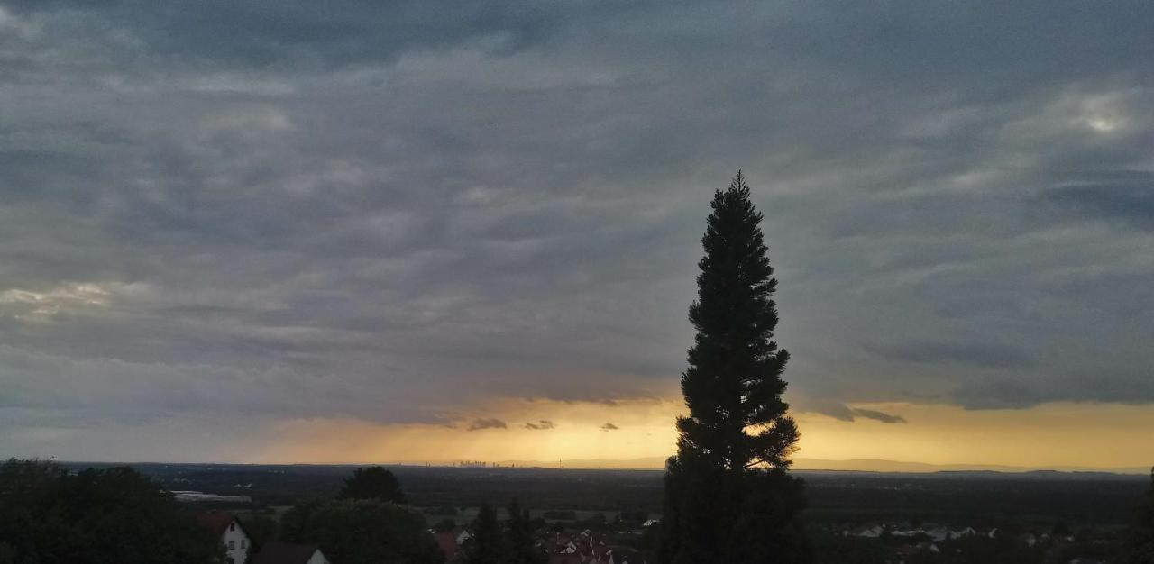 Kaefernberg - Weinhotel Alzenau in Unterfranken Esterno foto